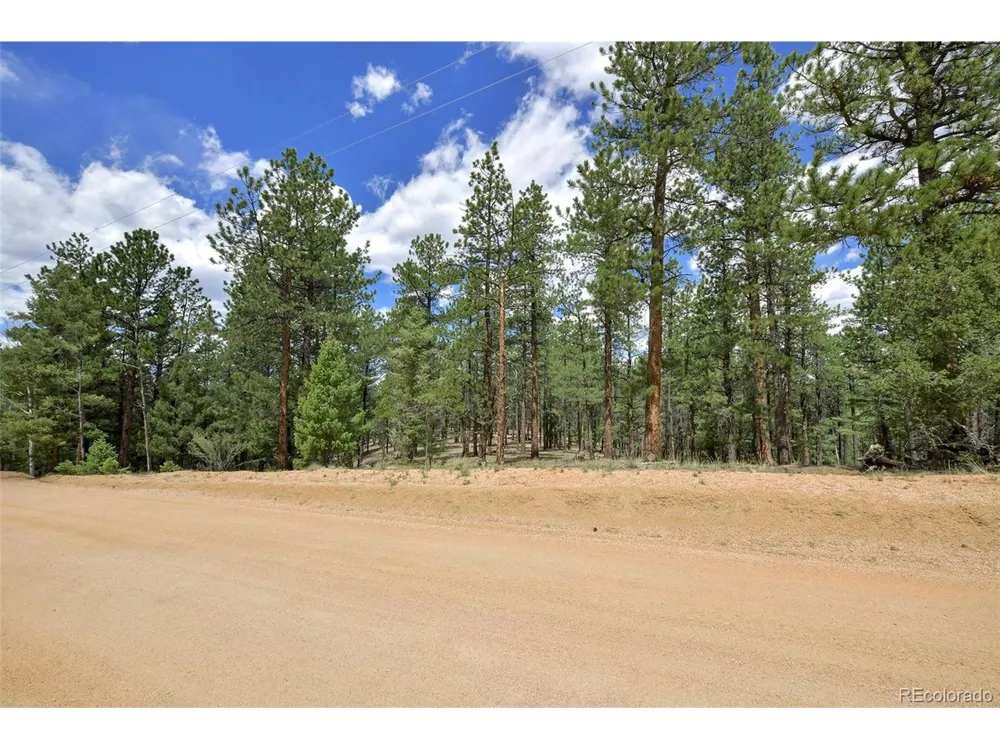 293 Badger Trail Florissant, CO 80816