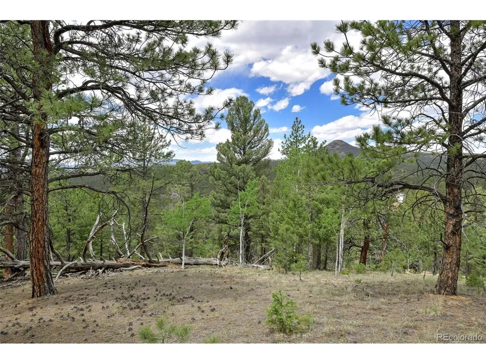 293 Badger Trail Florissant, CO 80816