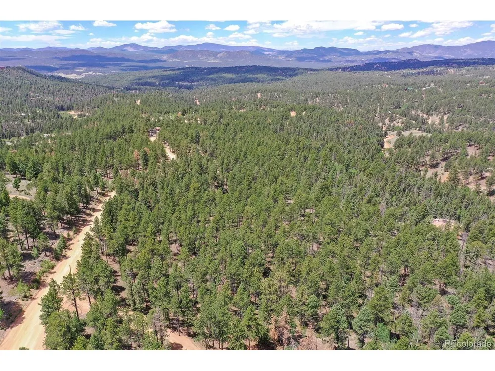 293 Badger Trail Florissant, CO 80816