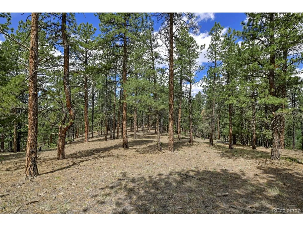 293 Badger Trail Florissant, CO 80816