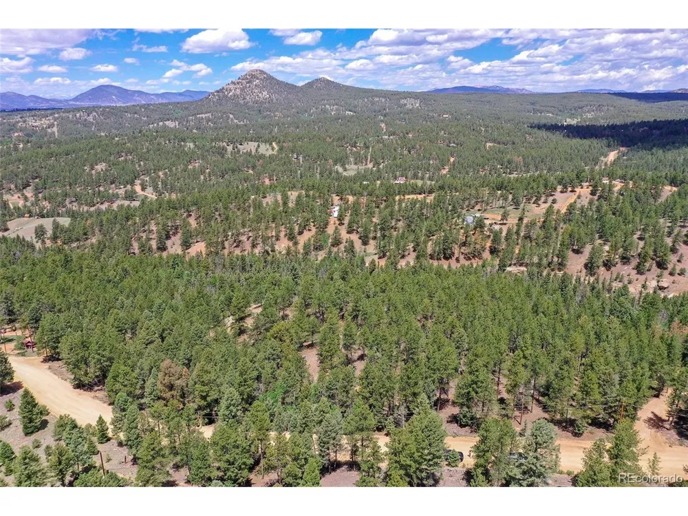 293 Badger Trail Florissant, CO 80816