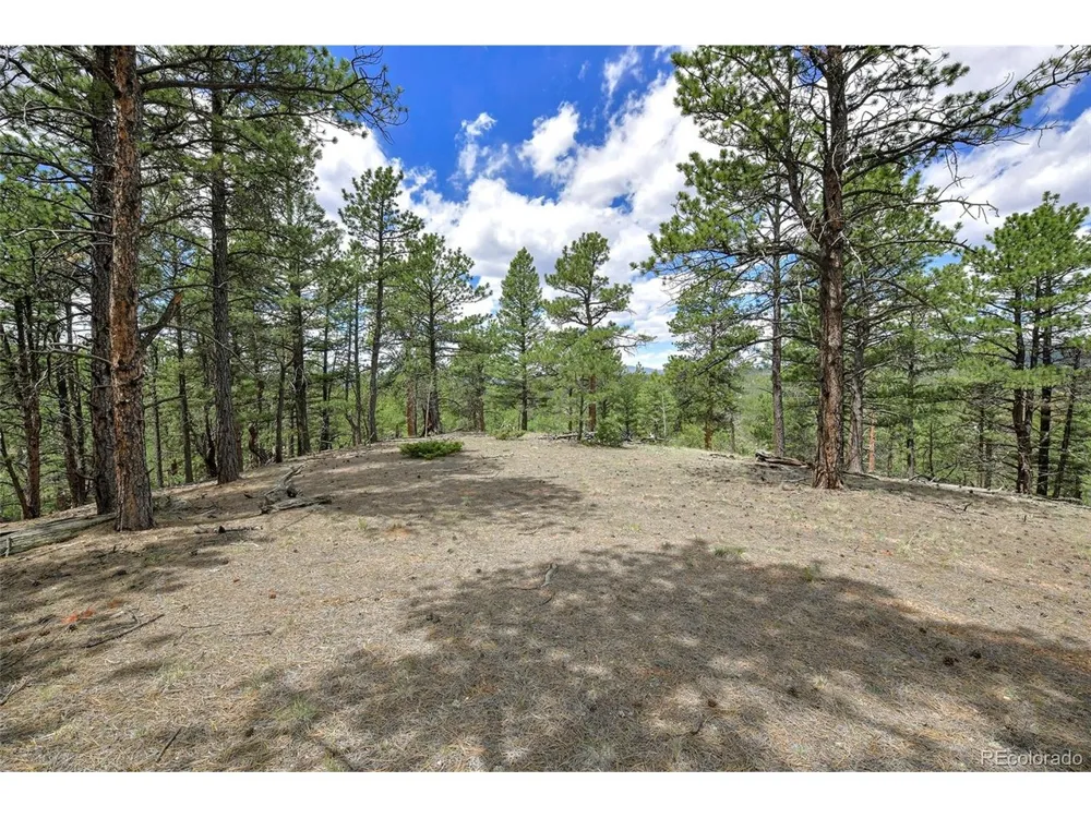 293 Badger Trail Florissant, CO 80816