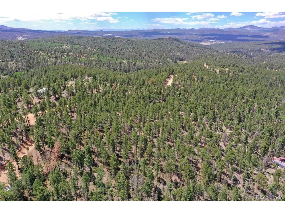 293 Badger Trail Florissant, CO 80816
