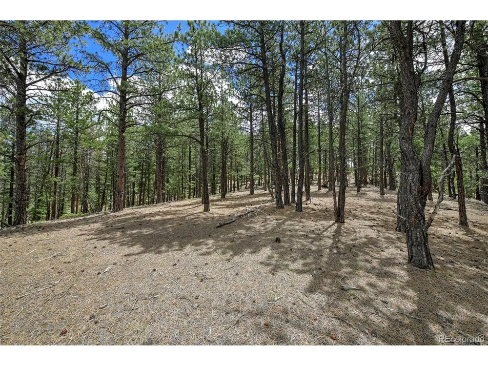 293 Badger Trail Florissant, CO 80816