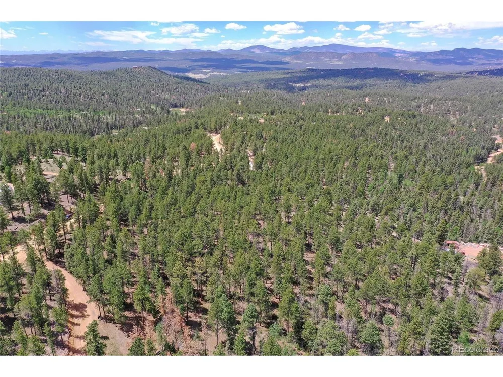 293 Badger Trail Florissant, CO 80816