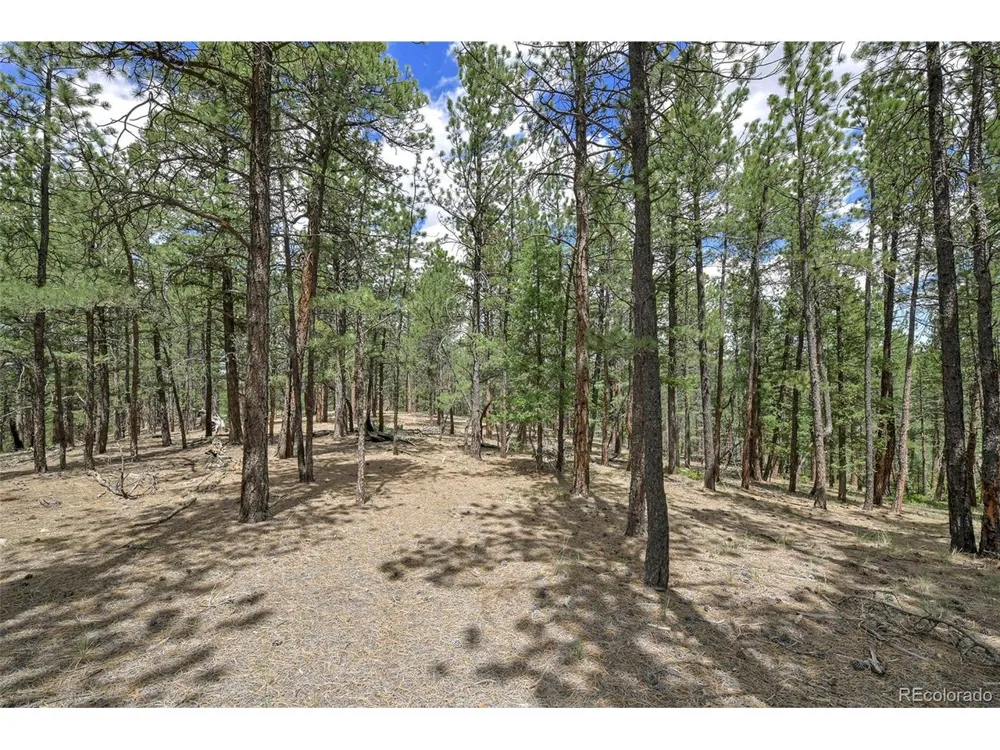 293 Badger Trail Florissant, CO 80816