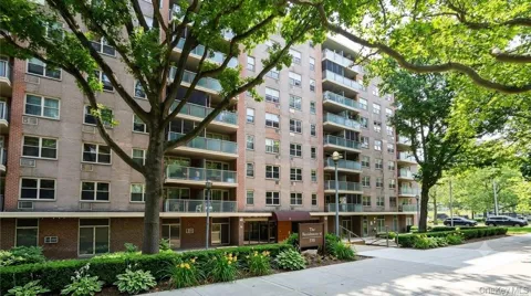 1065 Vermont Street #4H