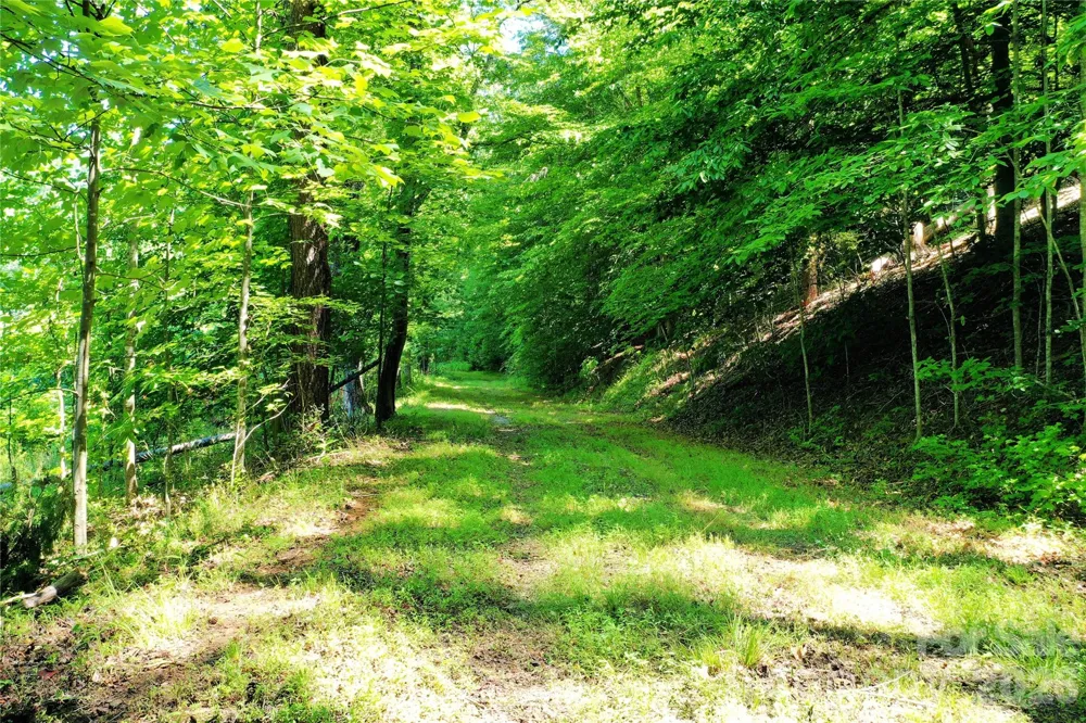 TBD River Road Tryon, NC 28782
