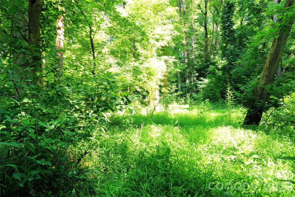 TBD River Road Tryon, NC 28782