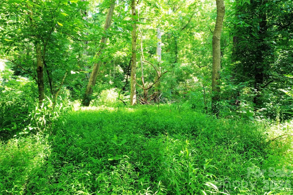 TBD River Road Tryon, NC 28782