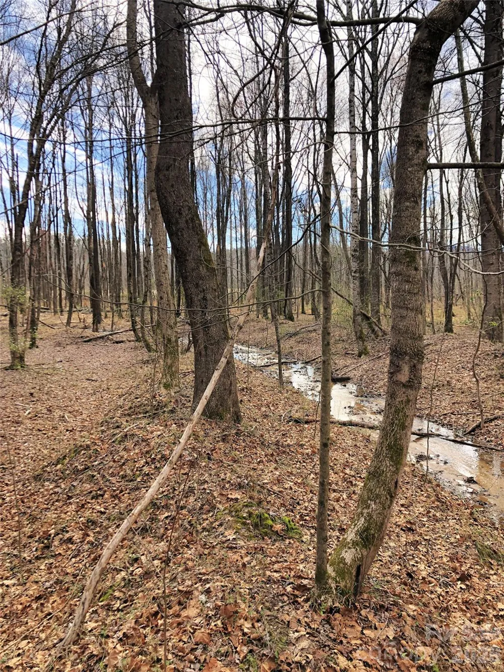 TBD River Road Tryon, NC 28782