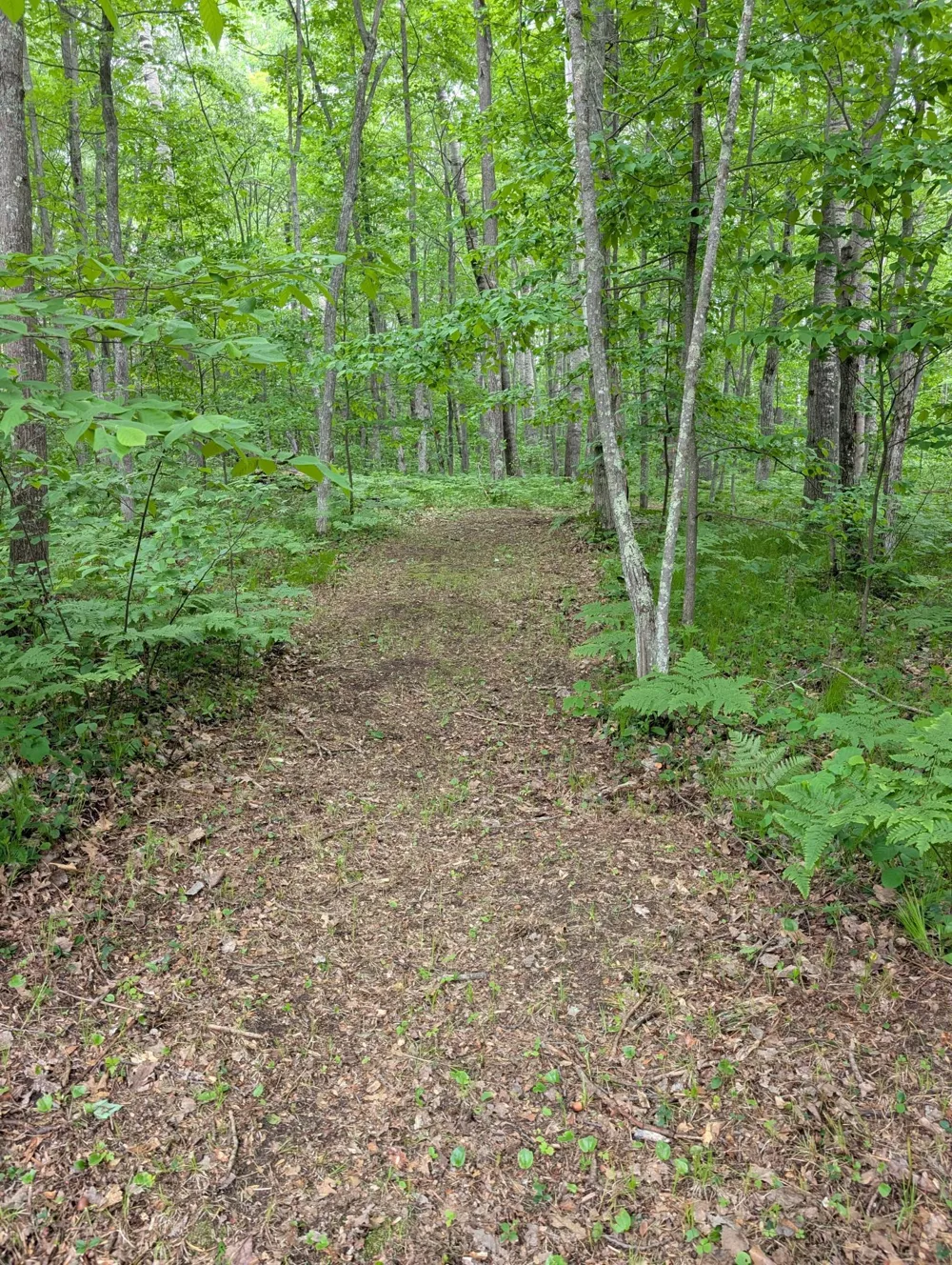 64100 E Ruth Lake Road Iron River, WI 54847