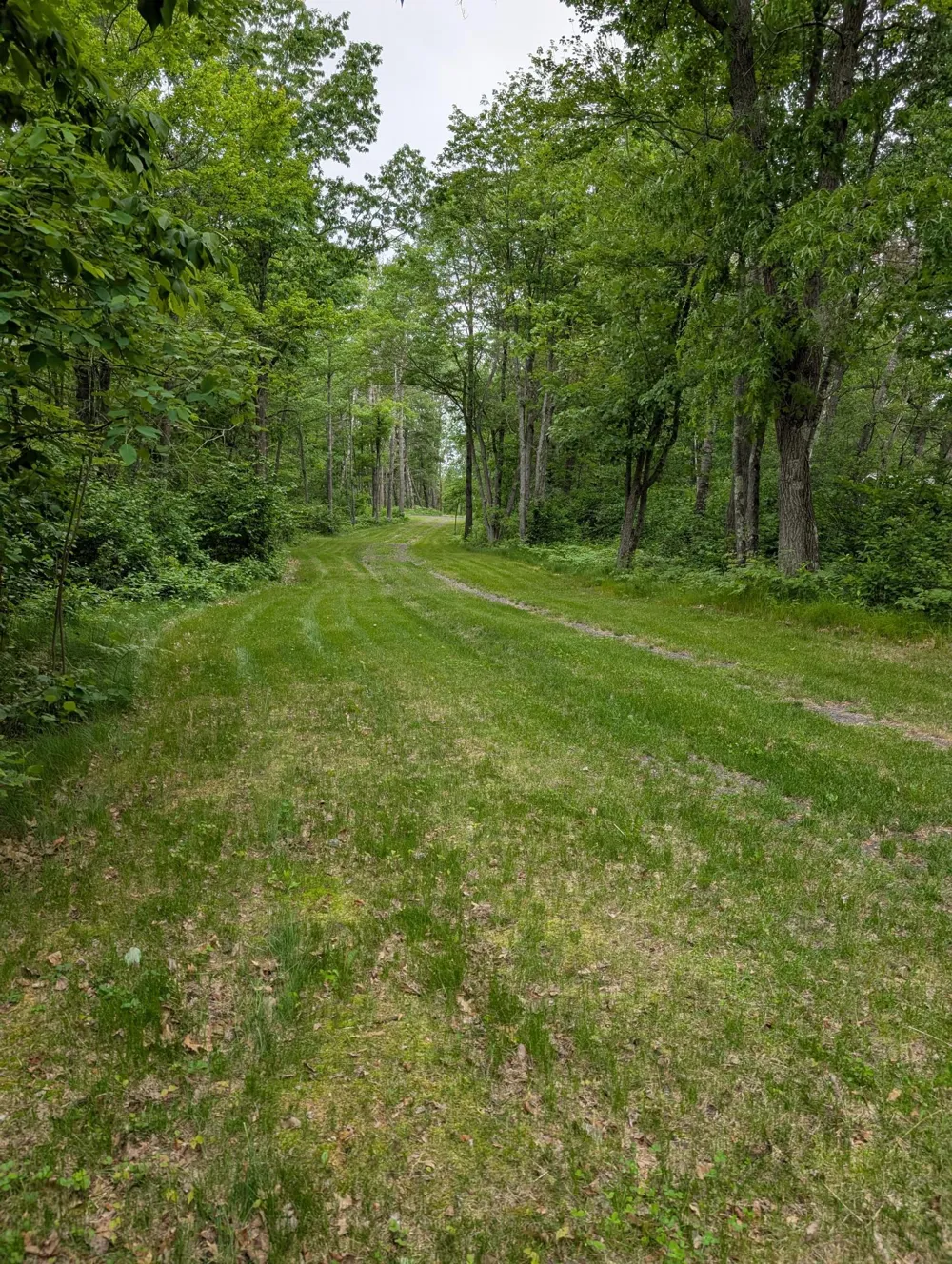 64100 E Ruth Lake Road Iron River, WI 54847