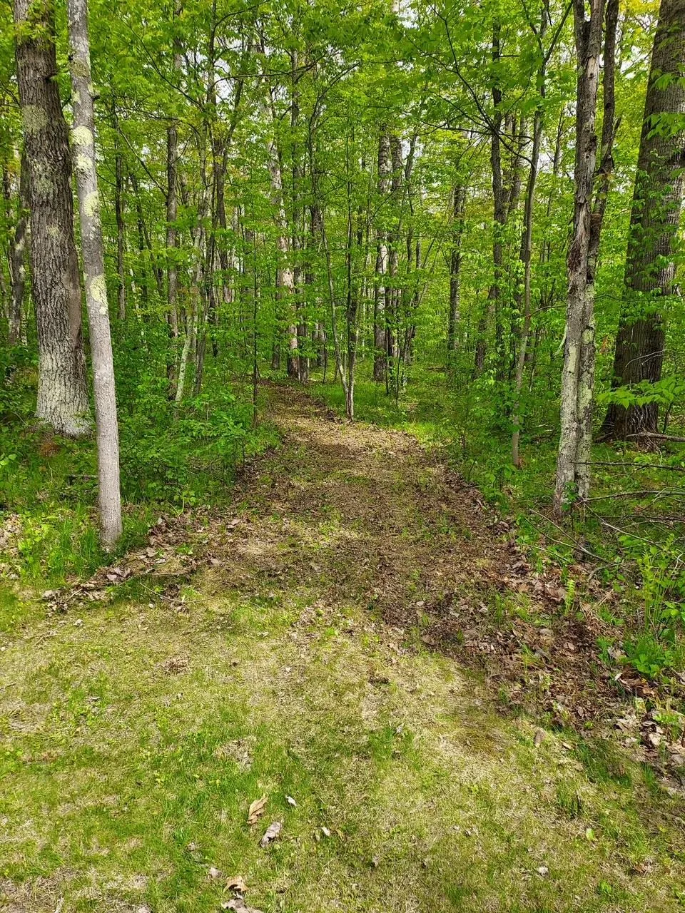 64100 E Ruth Lake Road Iron River, WI 54847