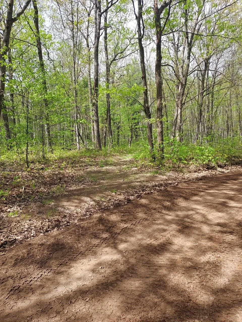 64100 E Ruth Lake Road Iron River, WI 54847