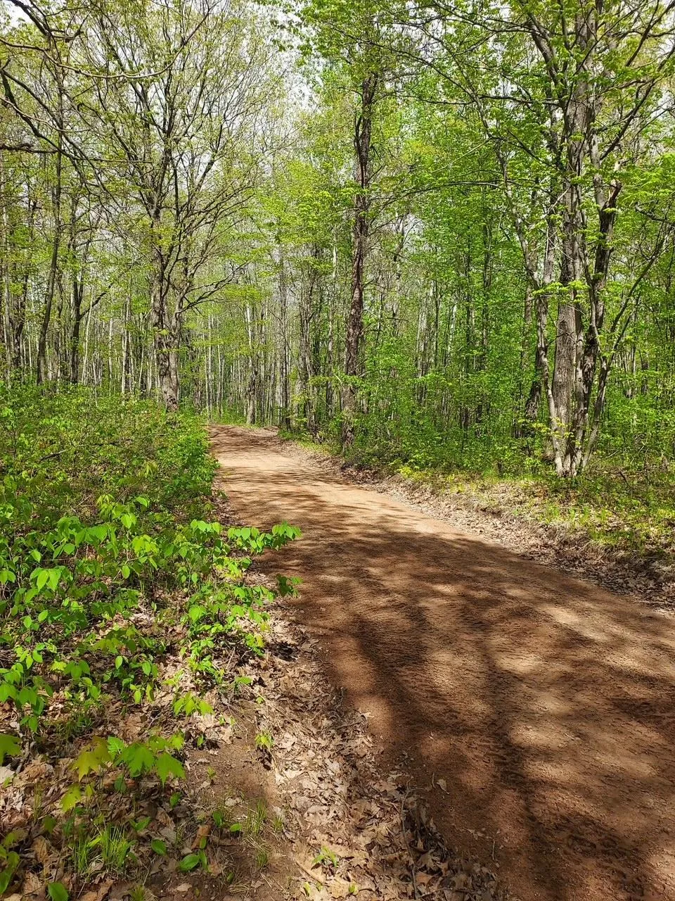 64100 E Ruth Lake Road Iron River, WI 54847