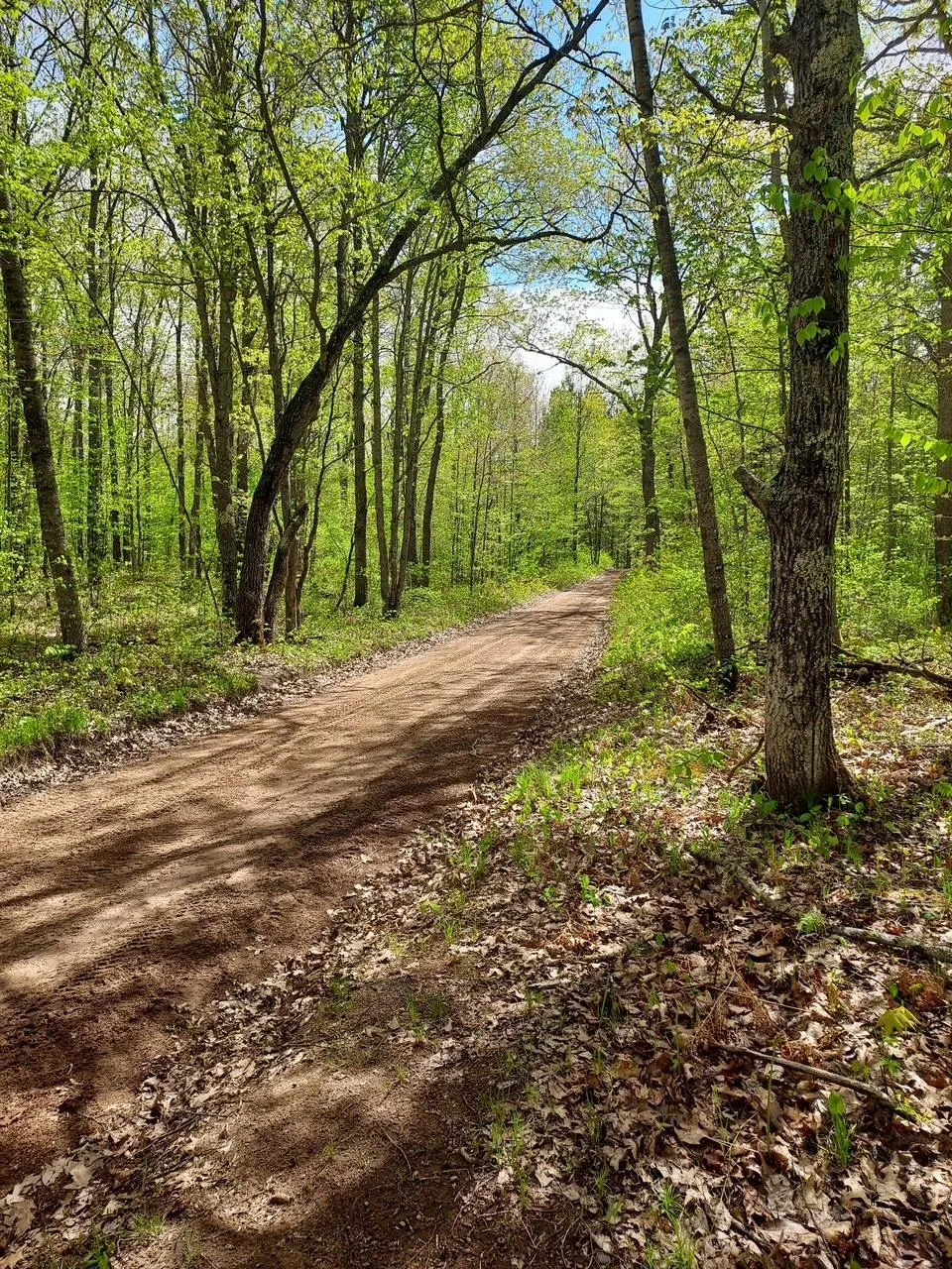 64100 E Ruth Lake Road Iron River, WI 54847