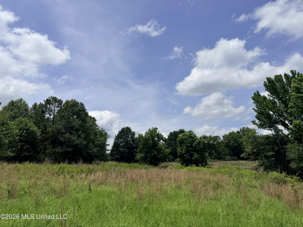 Lot #3 Wildwood At Pinehaven Drive Clinton, MS 39056