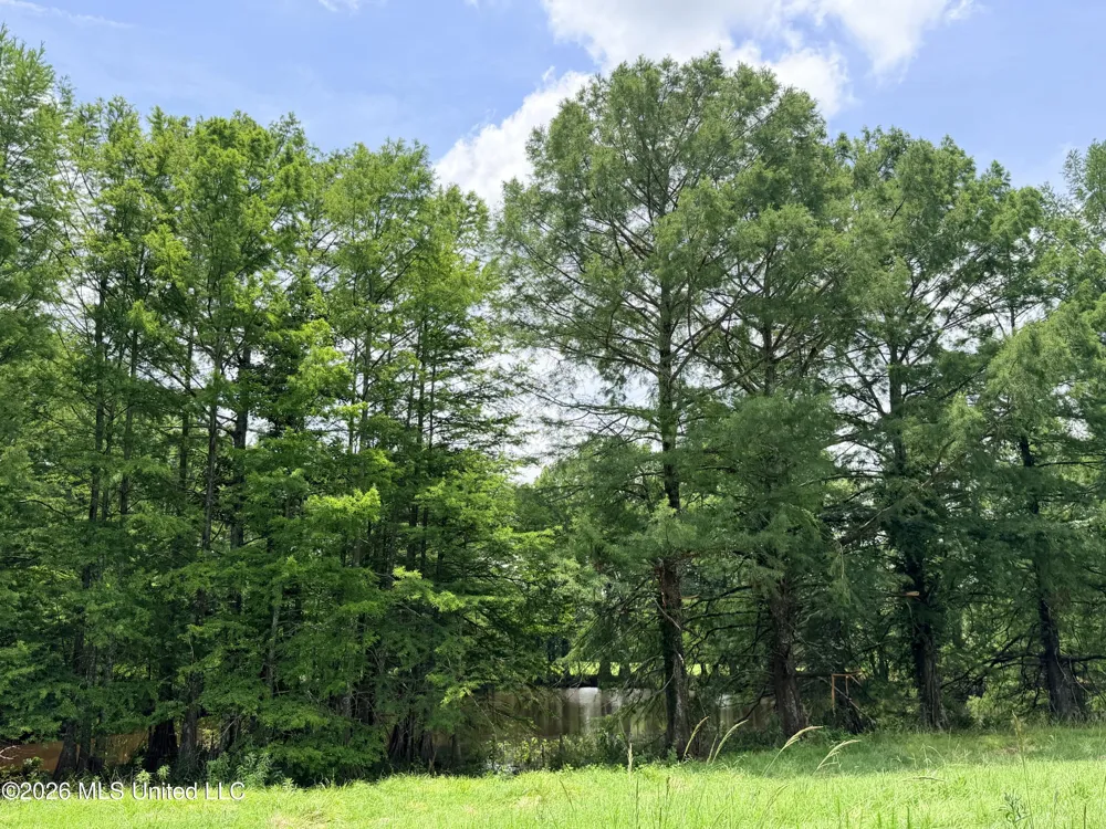 Lot #3 Wildwood At Pinehaven Drive Clinton, MS 39056