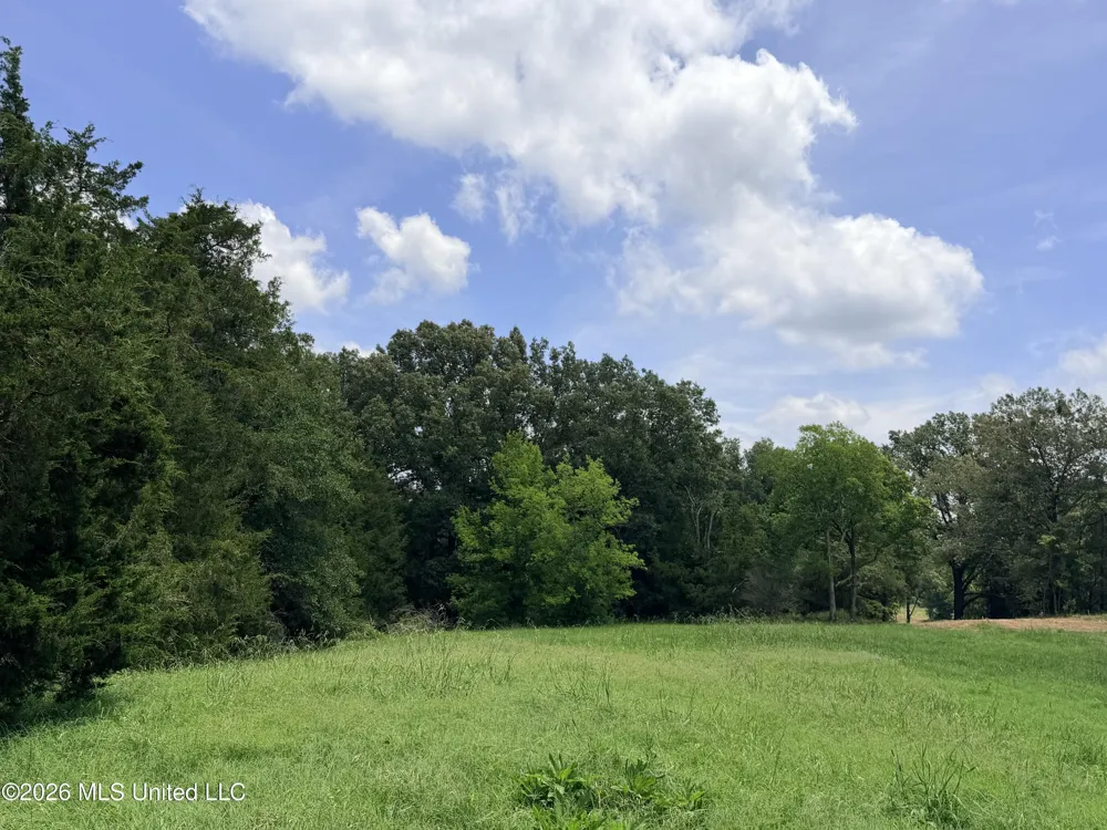 Lot #3 Wildwood At Pinehaven Drive Clinton, MS 39056