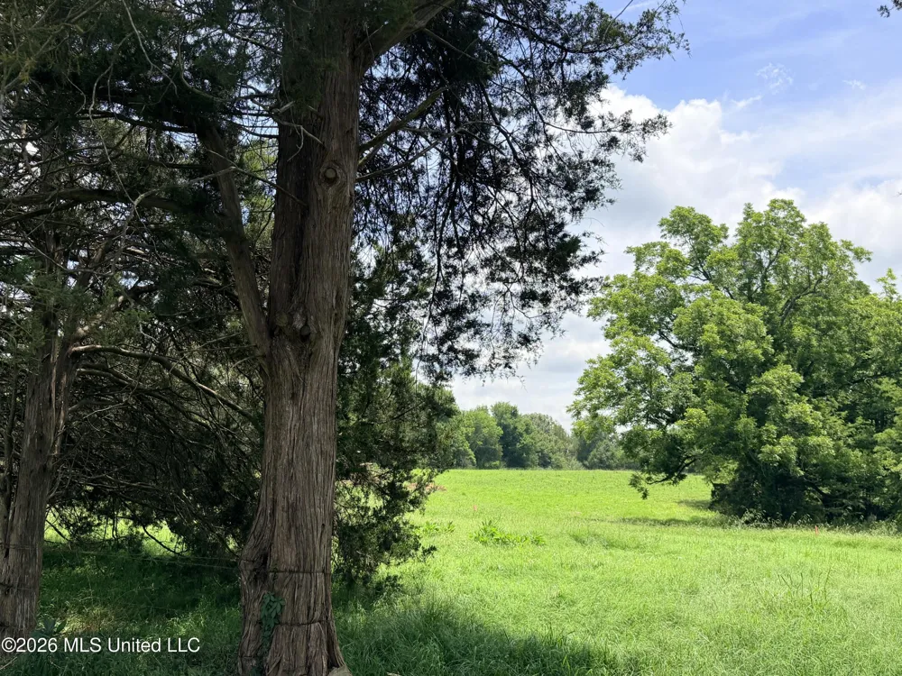 Lot #3 Wildwood At Pinehaven Drive Clinton, MS 39056