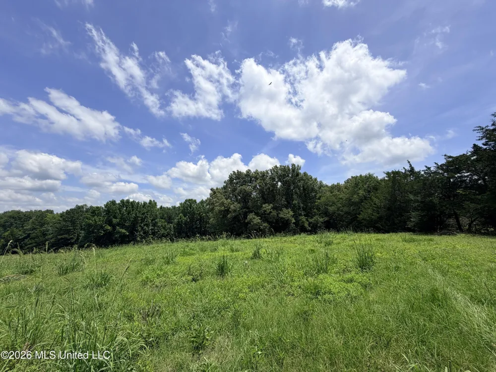 Lot #3 Wildwood At Pinehaven Drive Clinton, MS 39056