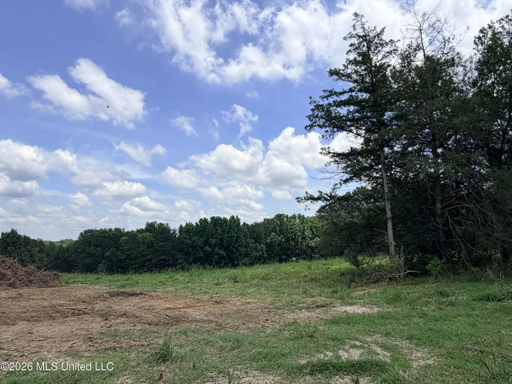 Lot #3 Wildwood At Pinehaven Drive Clinton, MS 39056