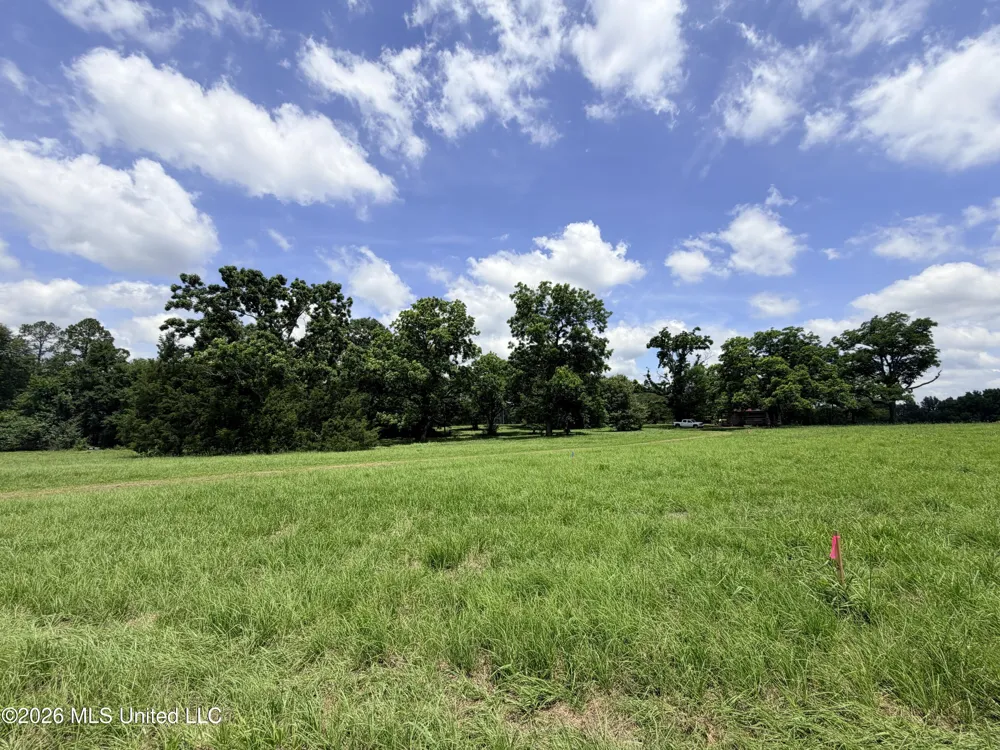 Lot #3 Wildwood At Pinehaven Drive Clinton, MS 39056