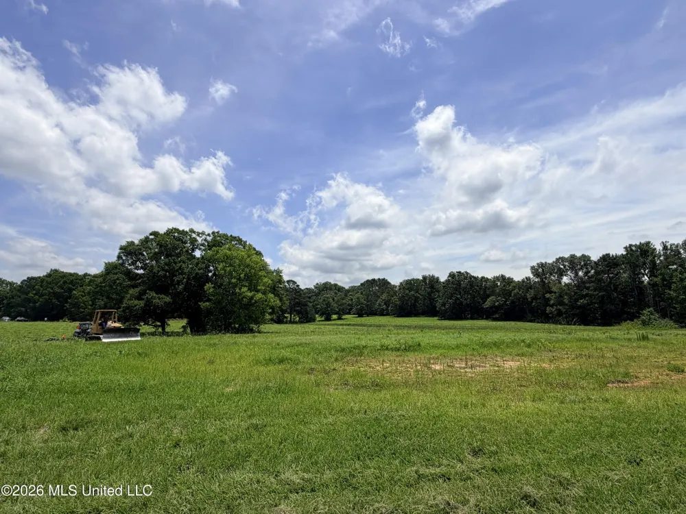 Lot #3 Wildwood At Pinehaven Drive Clinton, MS 39056
