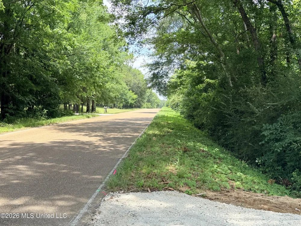 Lot #3 Wildwood At Pinehaven Drive Clinton, MS 39056
