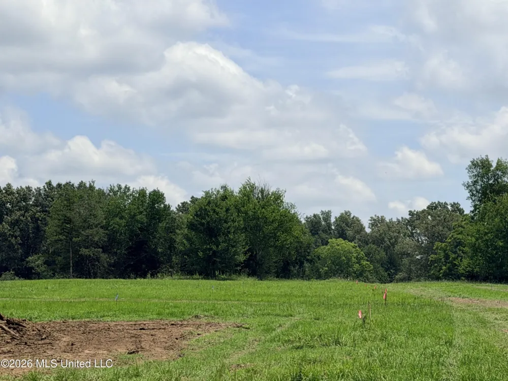 Lot #3 Wildwood At Pinehaven Drive Clinton, MS 39056