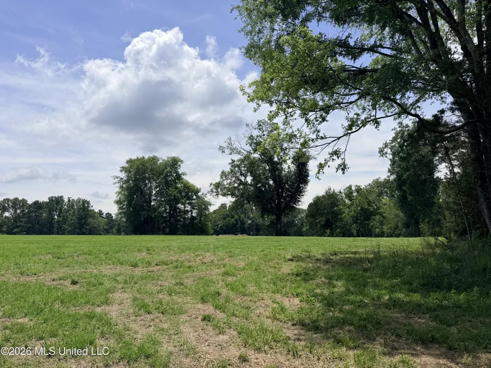 Lot #3 Wildwood At Pinehaven Drive Clinton, MS 39056