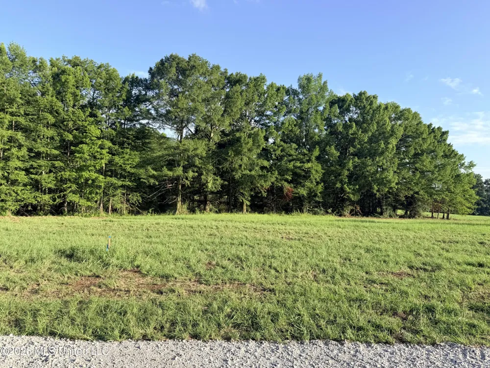 Lot #3 Wildwood At Pinehaven Drive Clinton, MS 39056