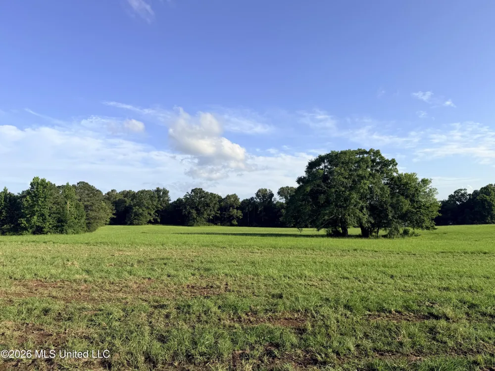 Lot #3 Wildwood At Pinehaven Drive Clinton, MS 39056