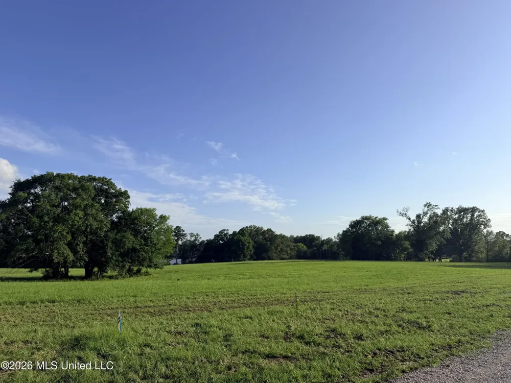 Lot #3 Wildwood At Pinehaven Drive Clinton, MS 39056