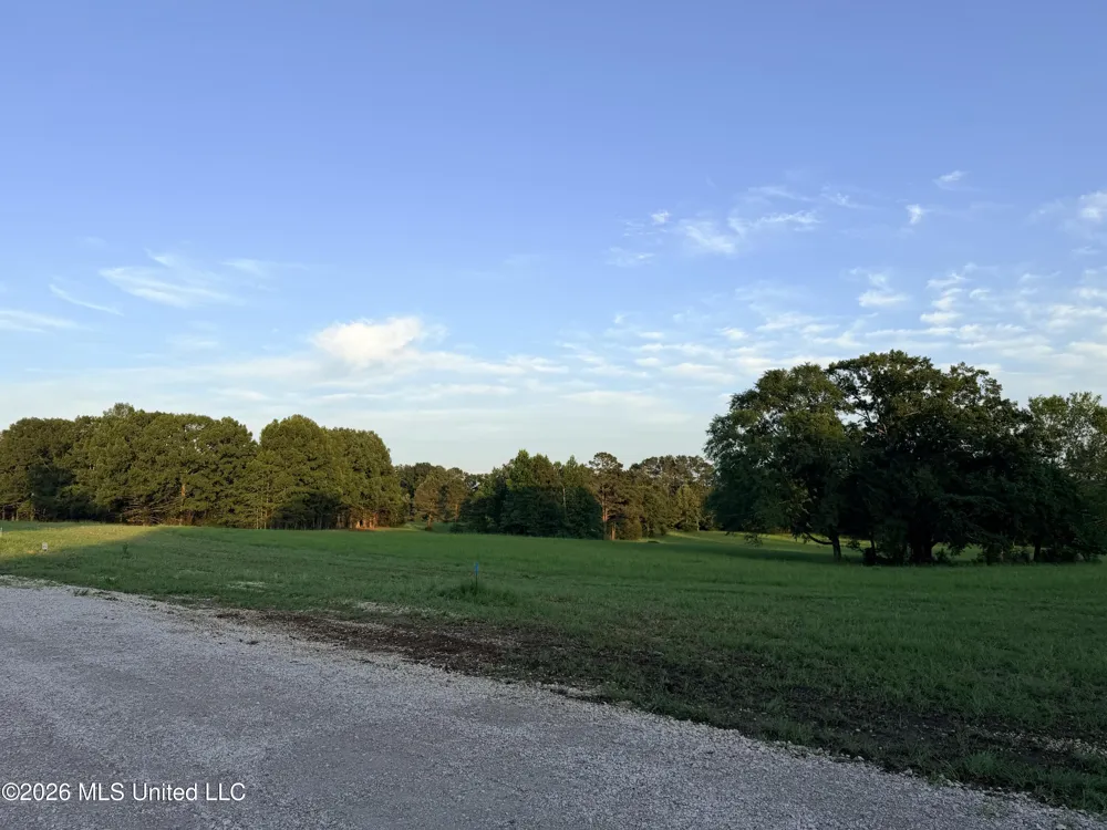 Lot #3 Wildwood At Pinehaven Drive Clinton, MS 39056