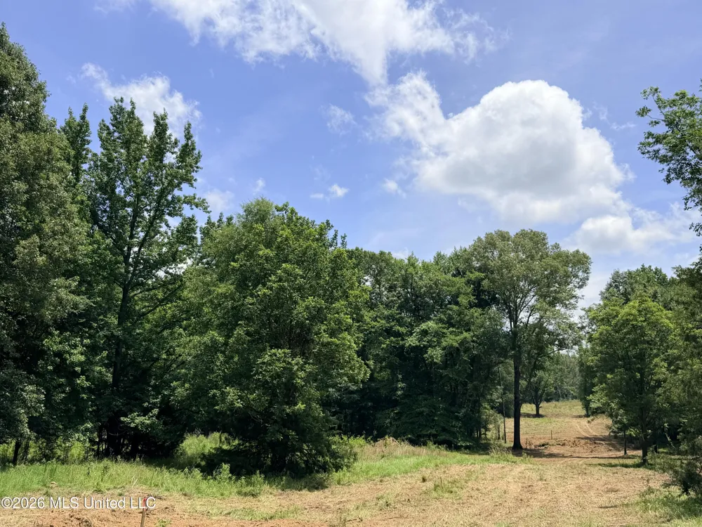 Lot #3 Wildwood At Pinehaven Drive Clinton, MS 39056
