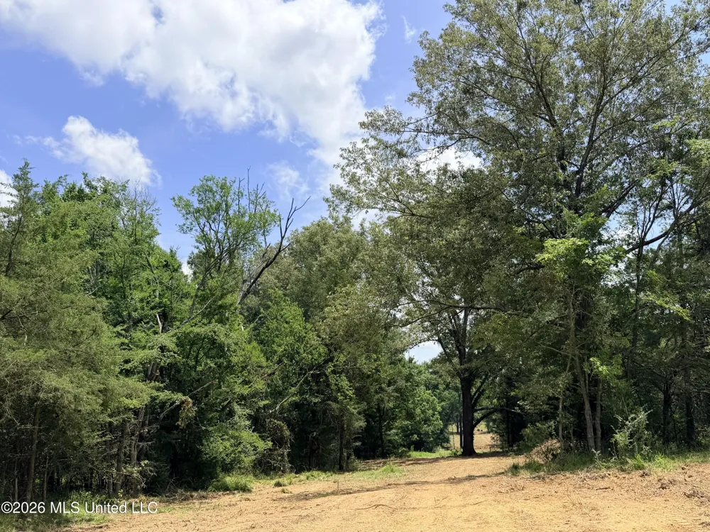 Lot #3 Wildwood At Pinehaven Drive Clinton, MS 39056