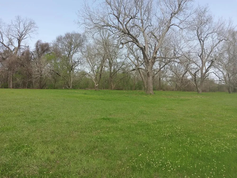 1 Fm 521 Angleton, TX 77515