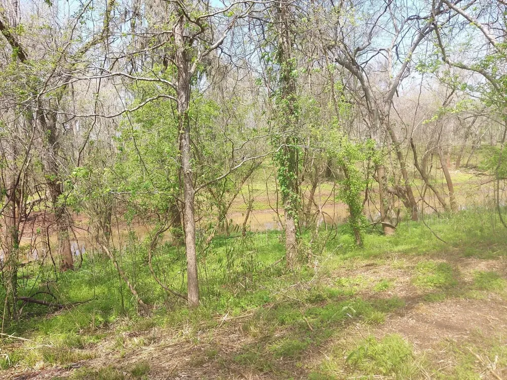 1 Fm 521 Angleton, TX 77515