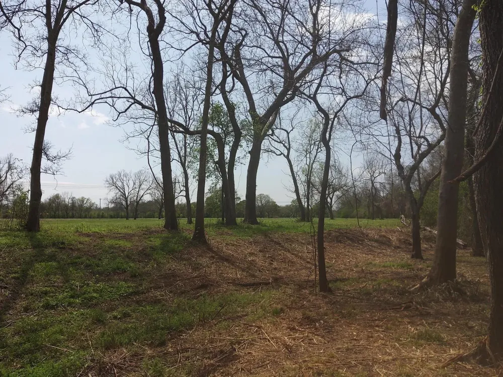 1 Fm 521 Angleton, TX 77515