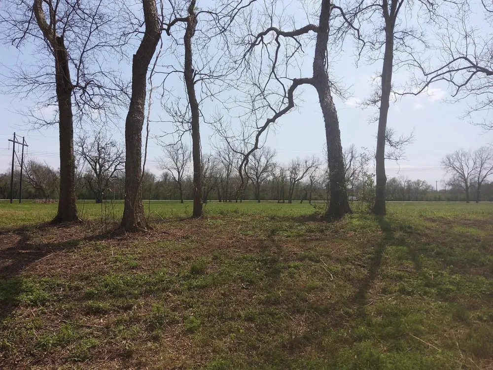 1 Fm 521 Angleton, TX 77515