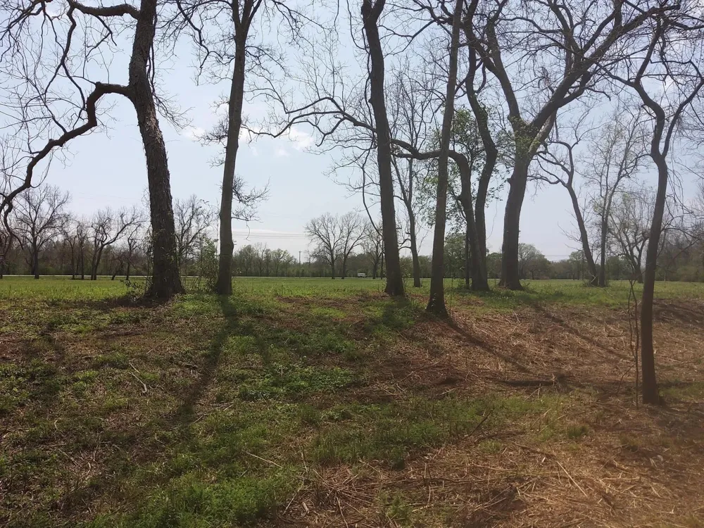 1 Fm 521 Angleton, TX 77515