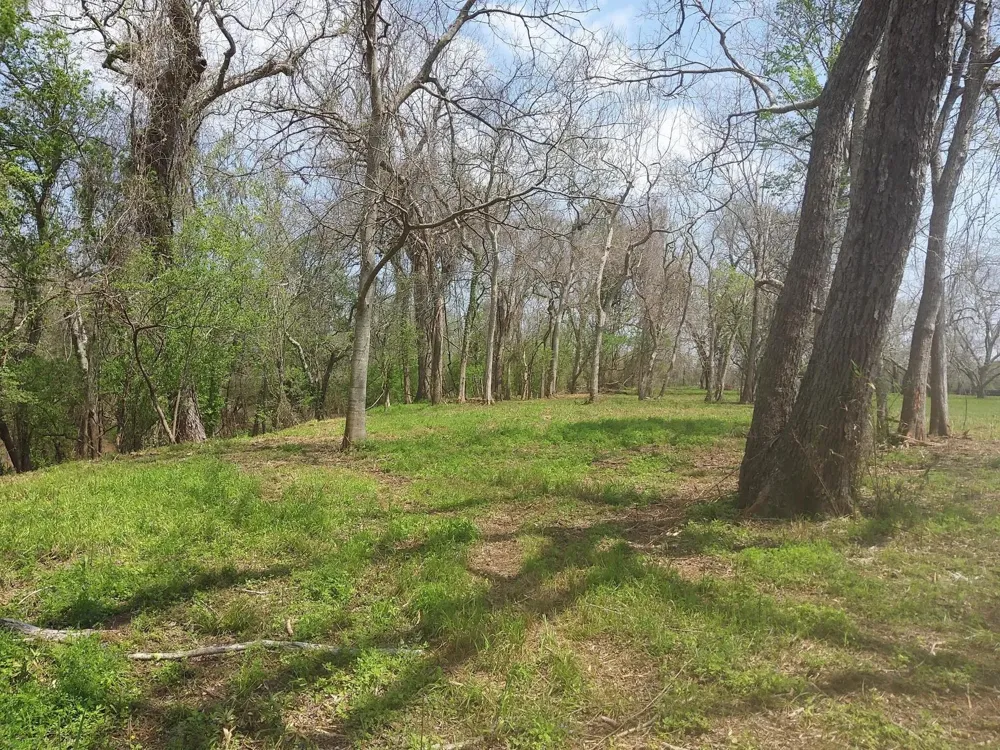 1 Fm 521 Angleton, TX 77515