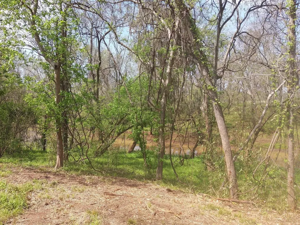 1 Fm 521 Angleton, TX 77515
