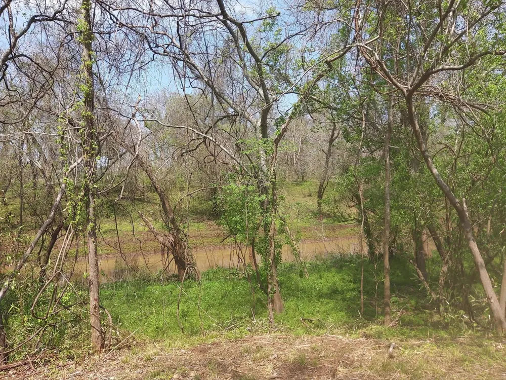 1 Fm 521 Angleton, TX 77515