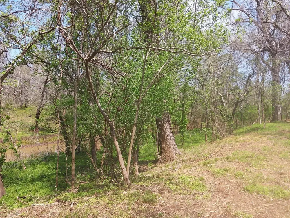 1 Fm 521 Angleton, TX 77515