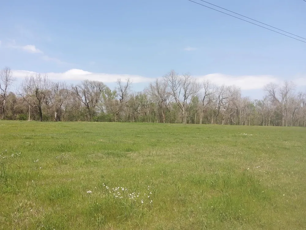 1 Fm 521 Angleton, TX 77515