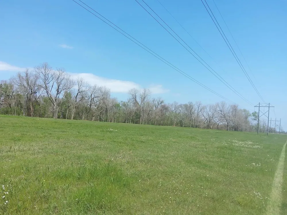 1 Fm 521 Angleton, TX 77515