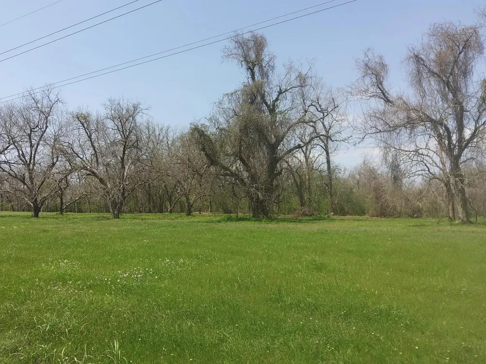 1 Fm 521 Angleton, TX 77515